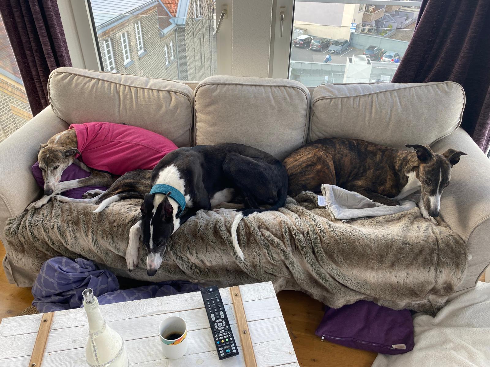 Kalani hat es geschafft